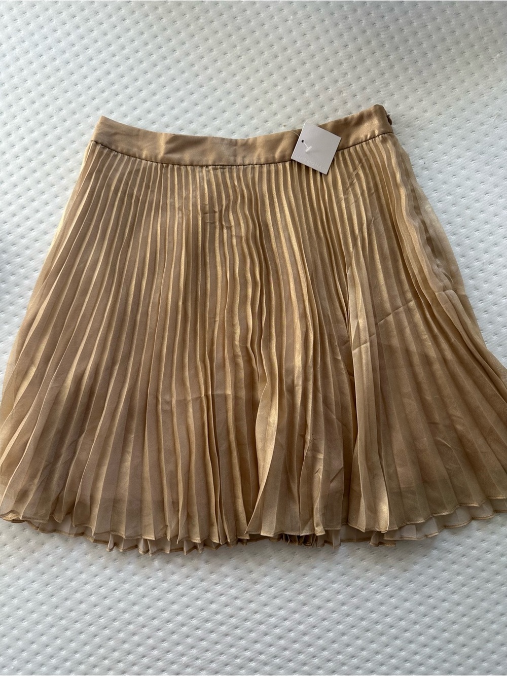 Pleated Skirt